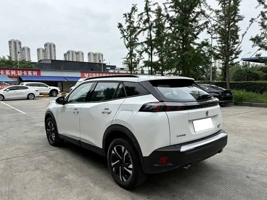 Peugeot 2008 2021 из CN, фото 5