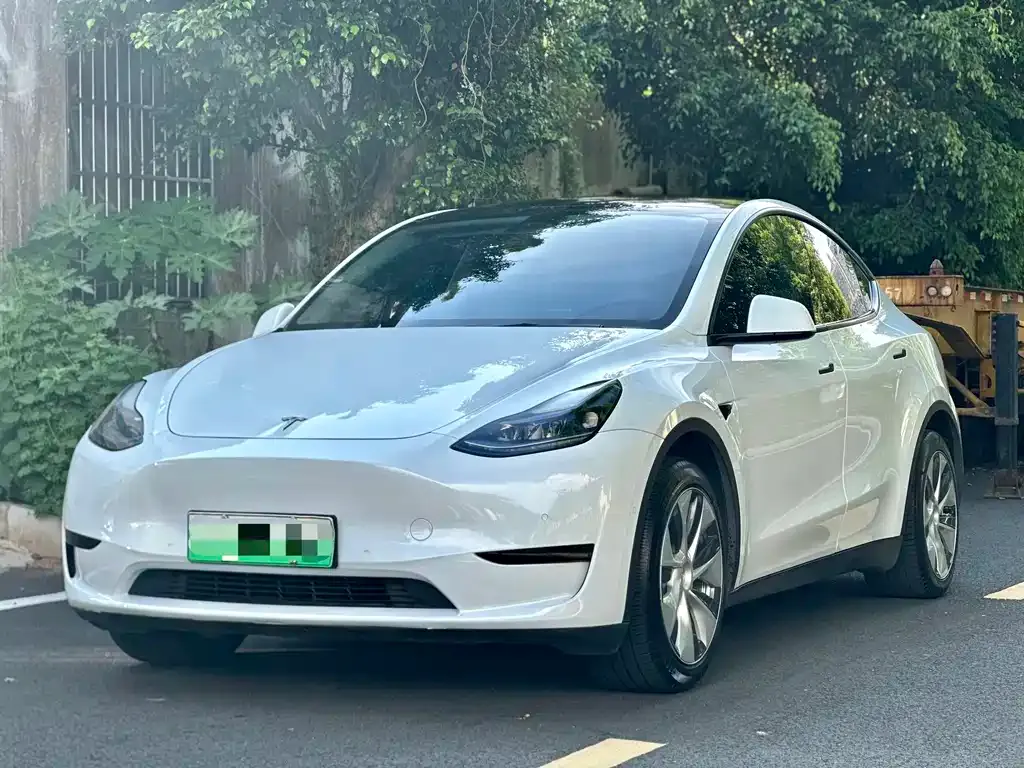 Tesla Model Y — фото 5