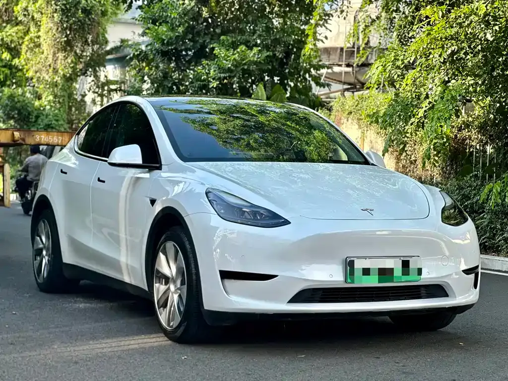 Tesla Model Y — фото 10