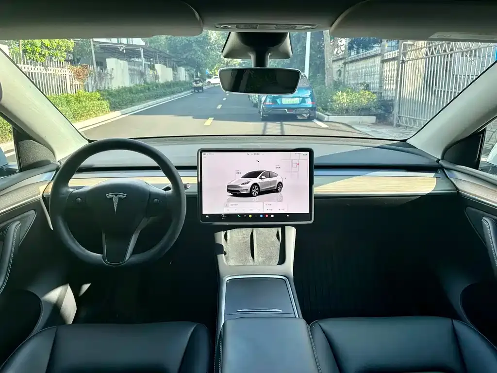 Tesla Model Y — фото 2