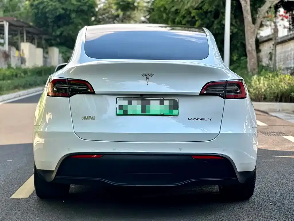 Tesla Model Y — фото 3