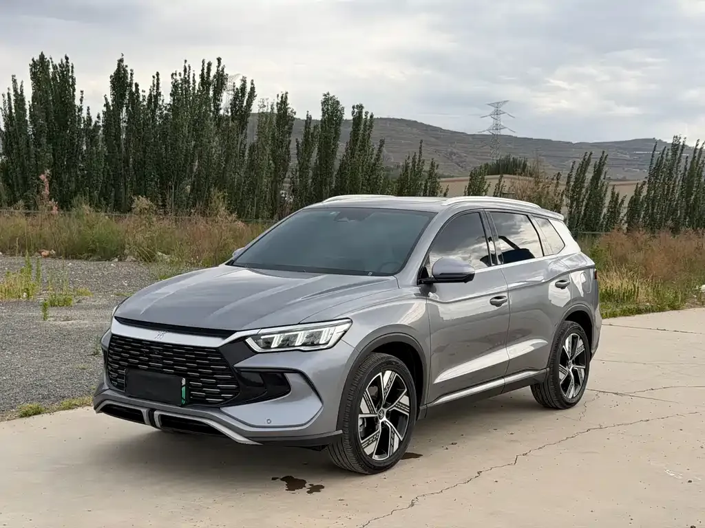 BYD Pro New Energy — фото 1