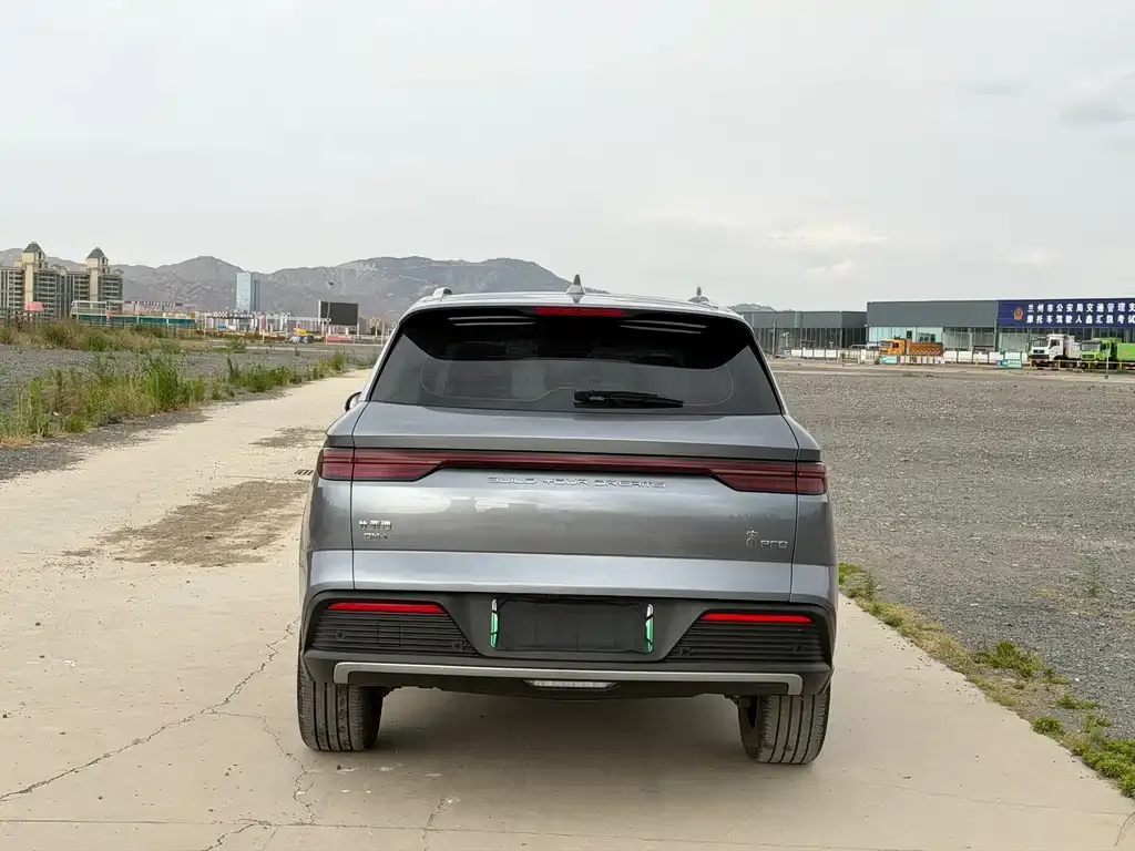 BYD Pro New Energy — фото 10