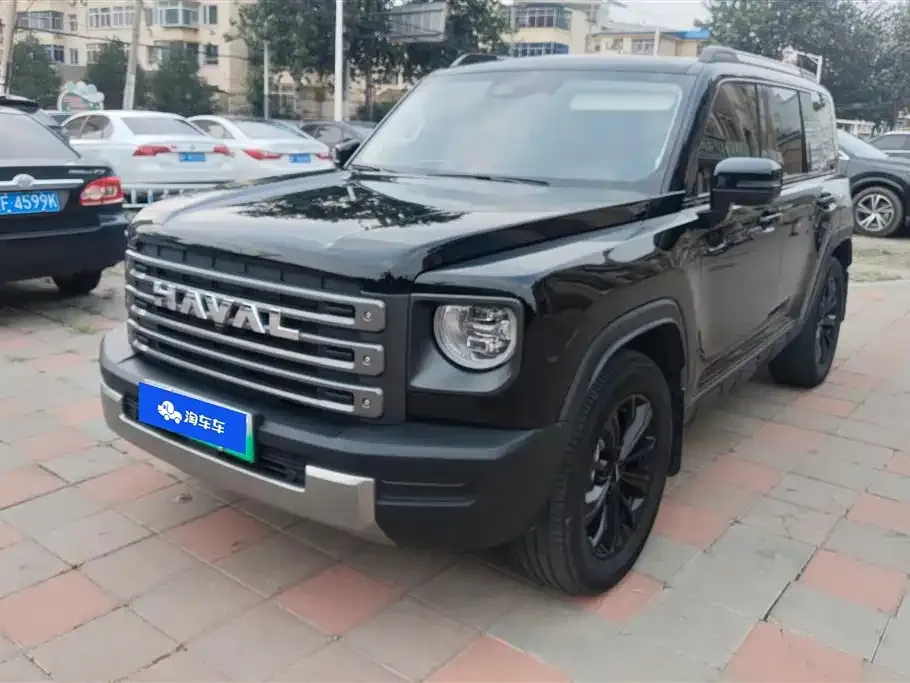 Haval Menglong New Energy — фото 1