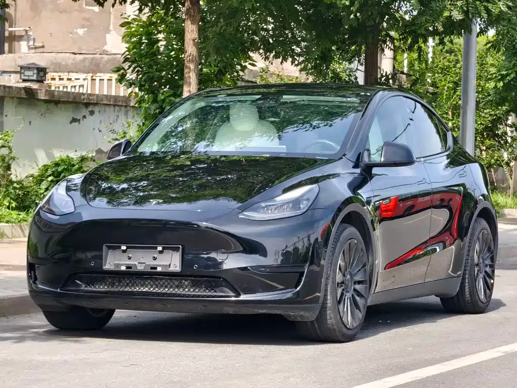 Tesla Model Y — фото 1