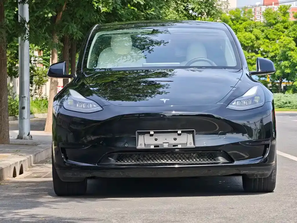 Tesla Model Y — фото 5