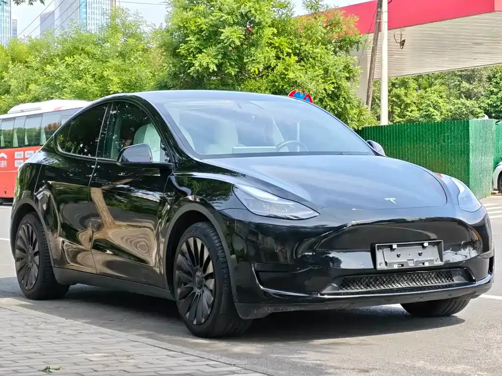 Tesla Model Y — фото 8
