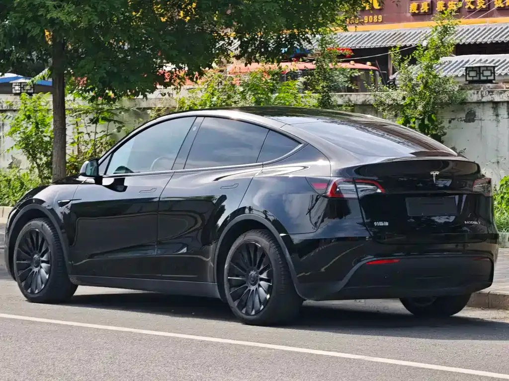 Tesla Model Y — фото 10