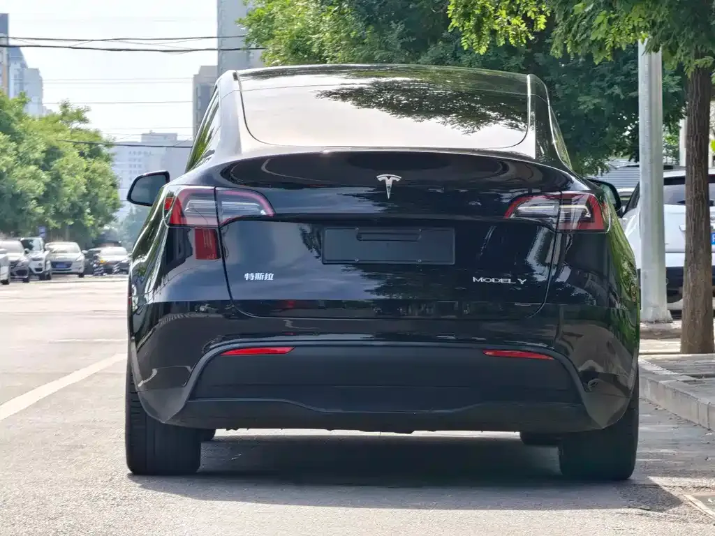 Tesla Model Y — фото 6