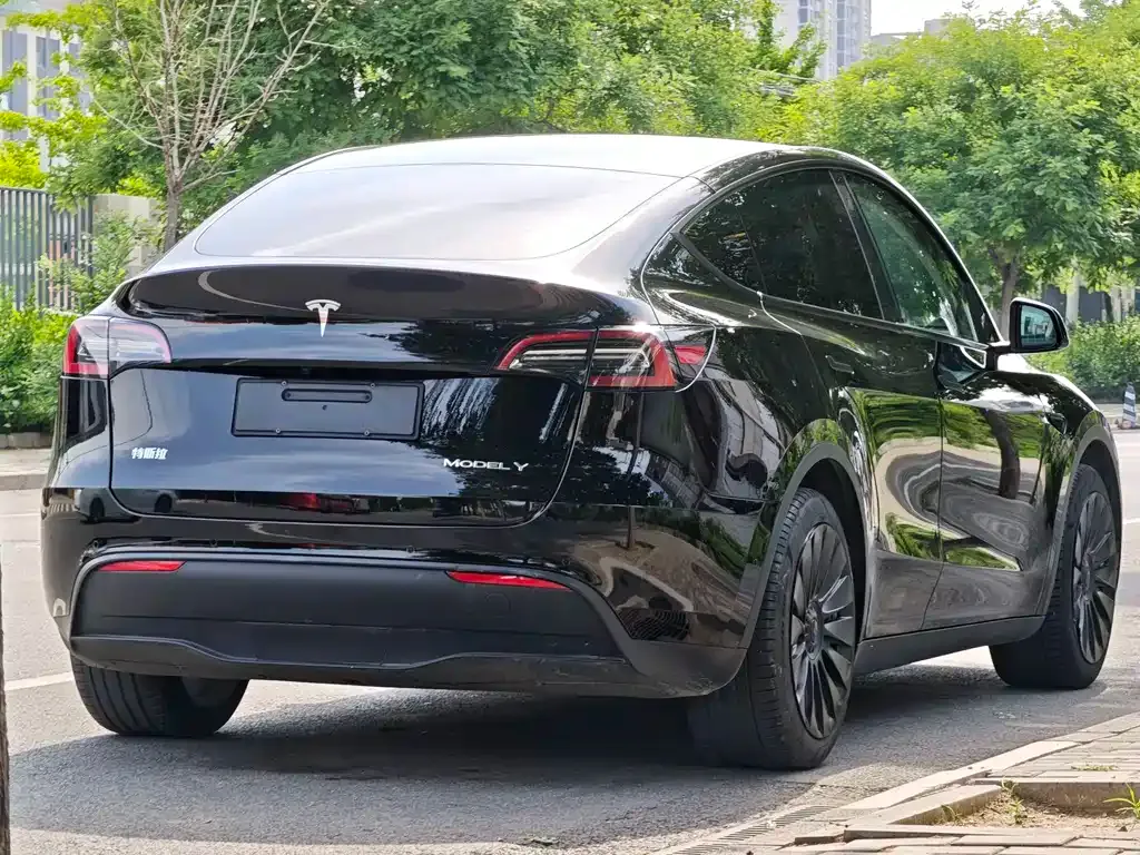 Tesla Model Y — фото 9