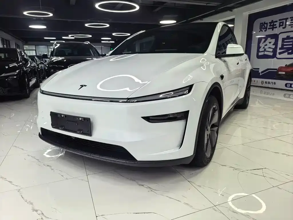 Tesla Model Y — фото 1