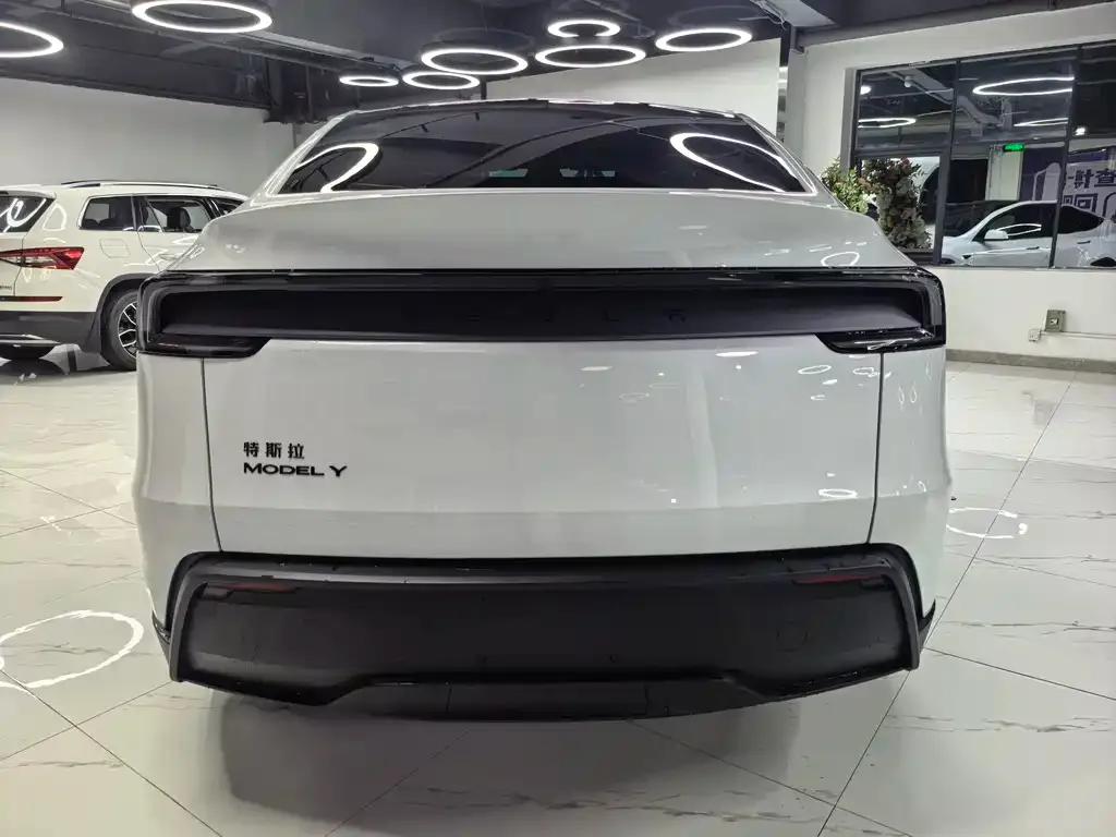 Tesla Model Y — фото 7