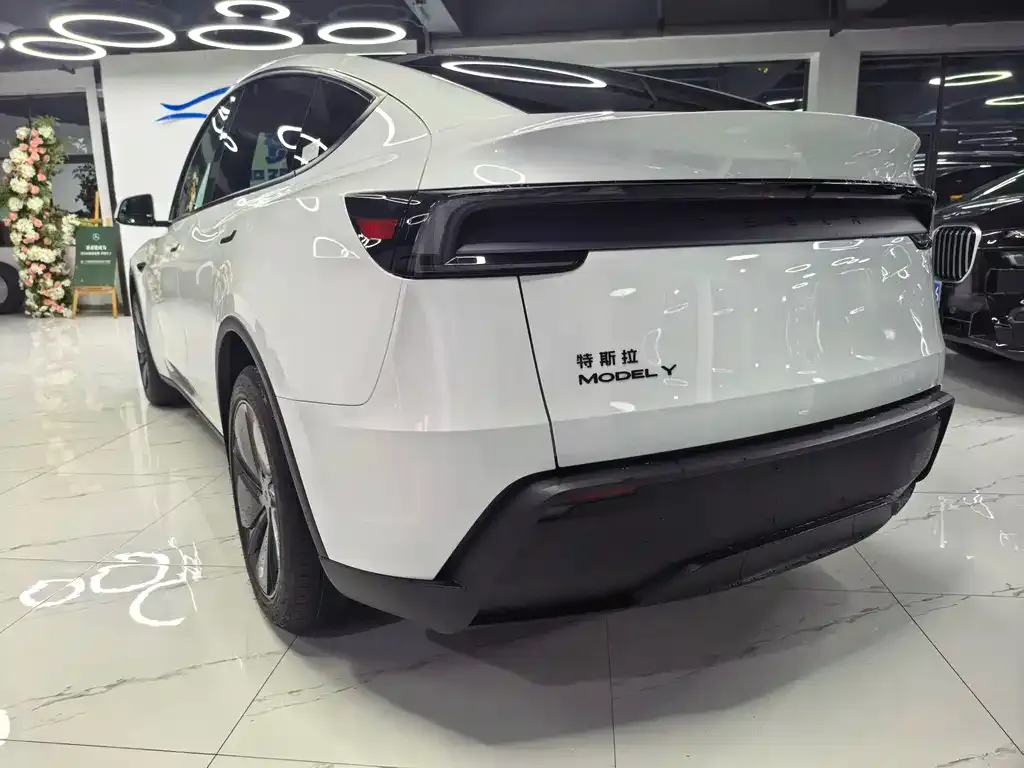 Tesla Model Y — фото 10