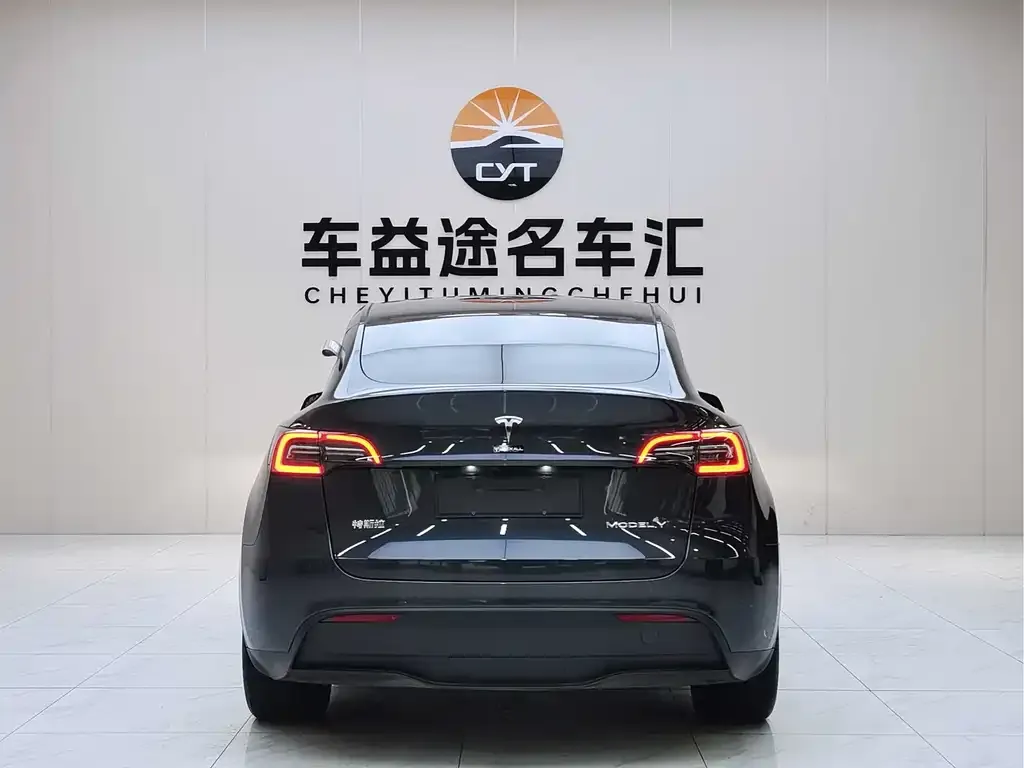 Tesla Model Y — фото 10