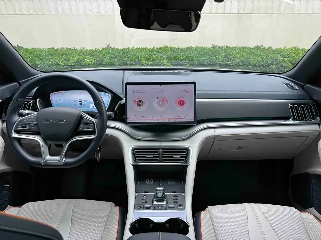 BYD PLUS New Energy — фото 5
