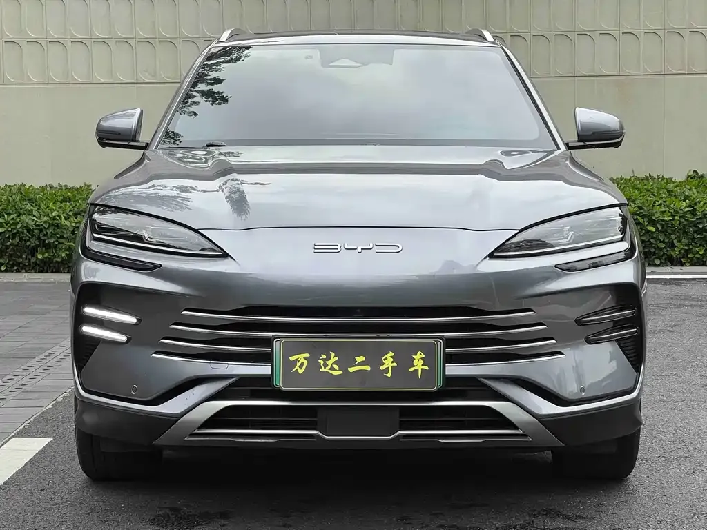 BYD PLUS New Energy — фото 4
