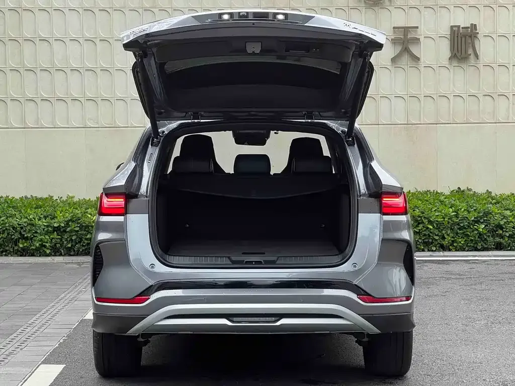 BYD PLUS New Energy — фото 2