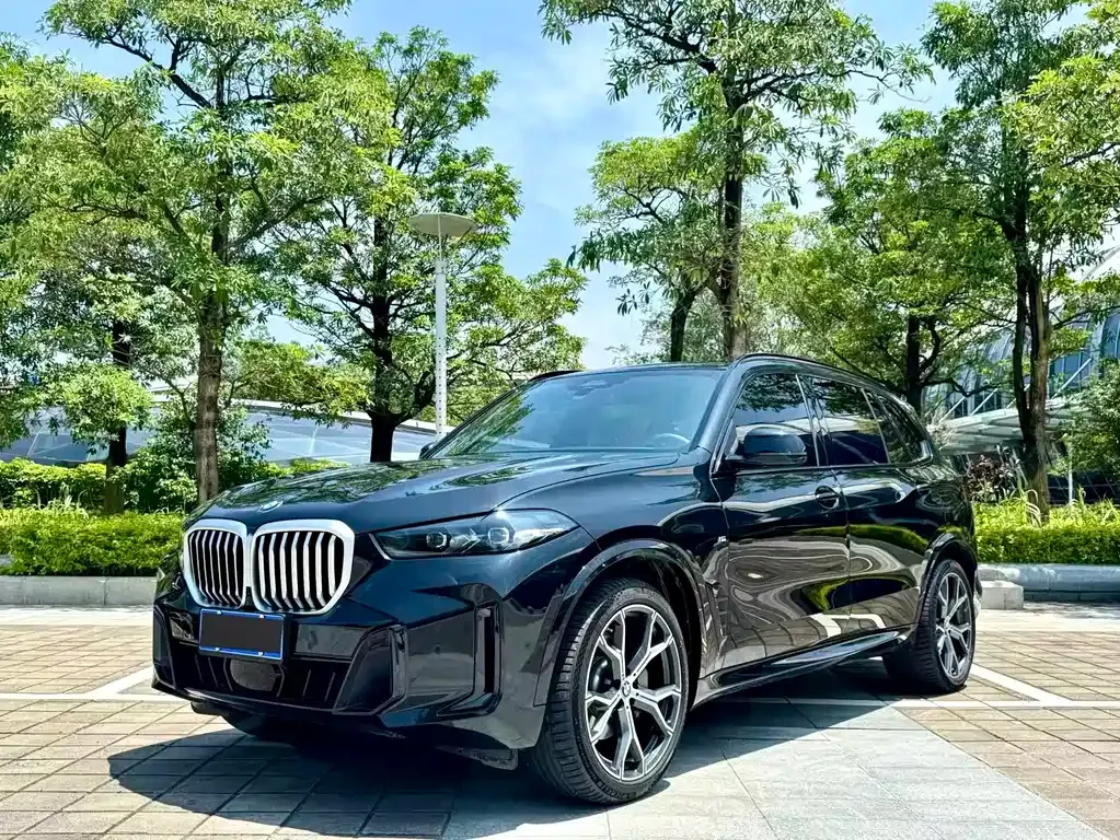 BMW X5 — фото 1
