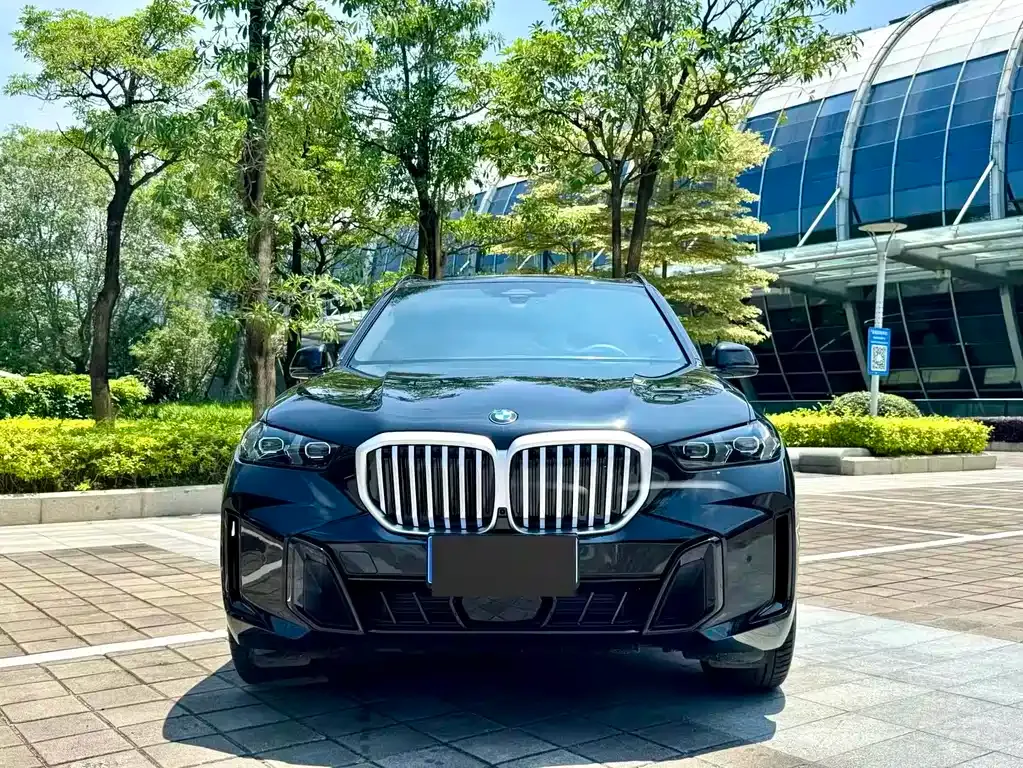 BMW X5 — фото 6