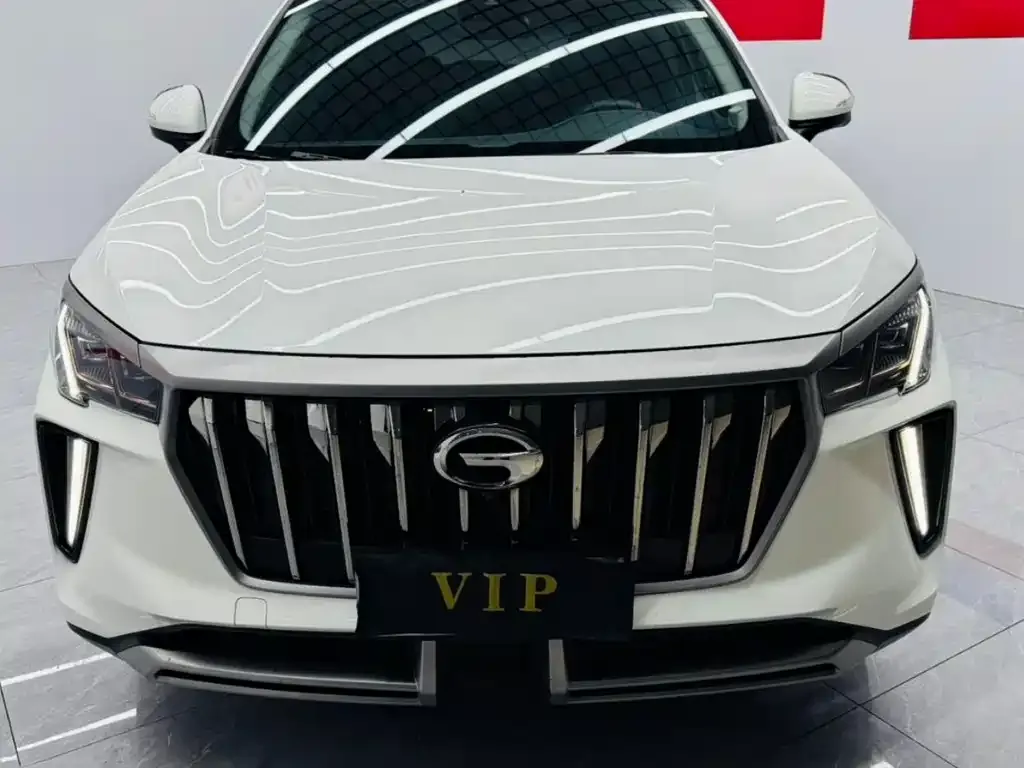 GAC Motor GS4 Plus 2022 из CN, фото 2
