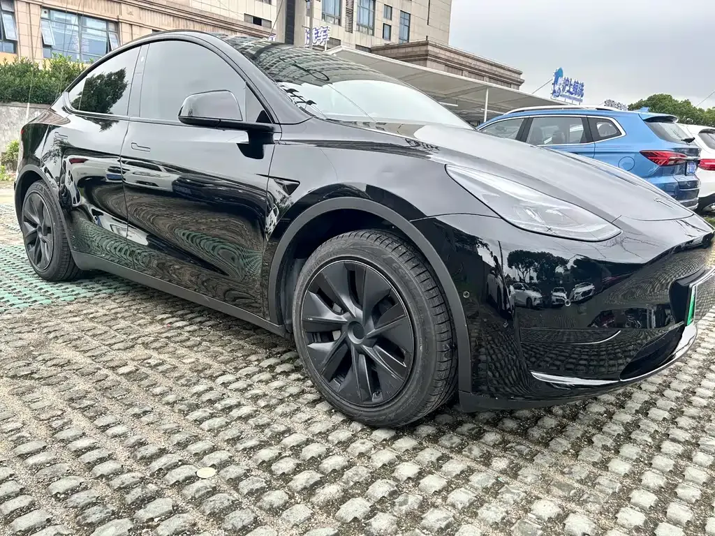 Tesla Model Y — фото 10