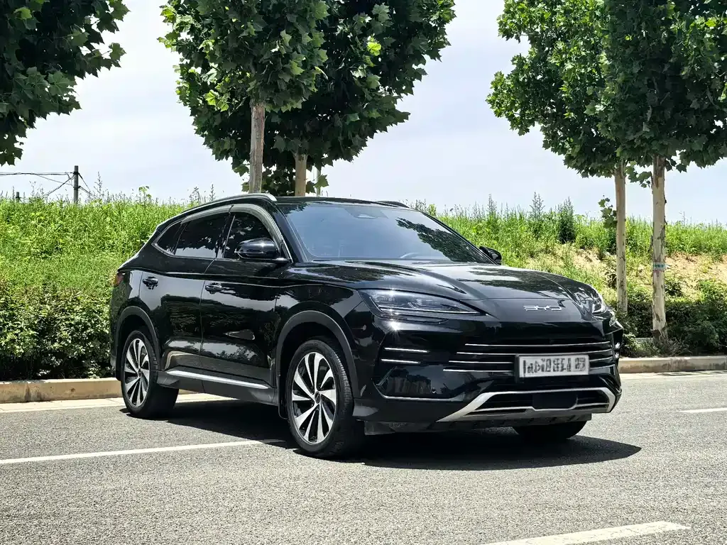 BYD PLUS New Energy 2024 из CN, фото 5