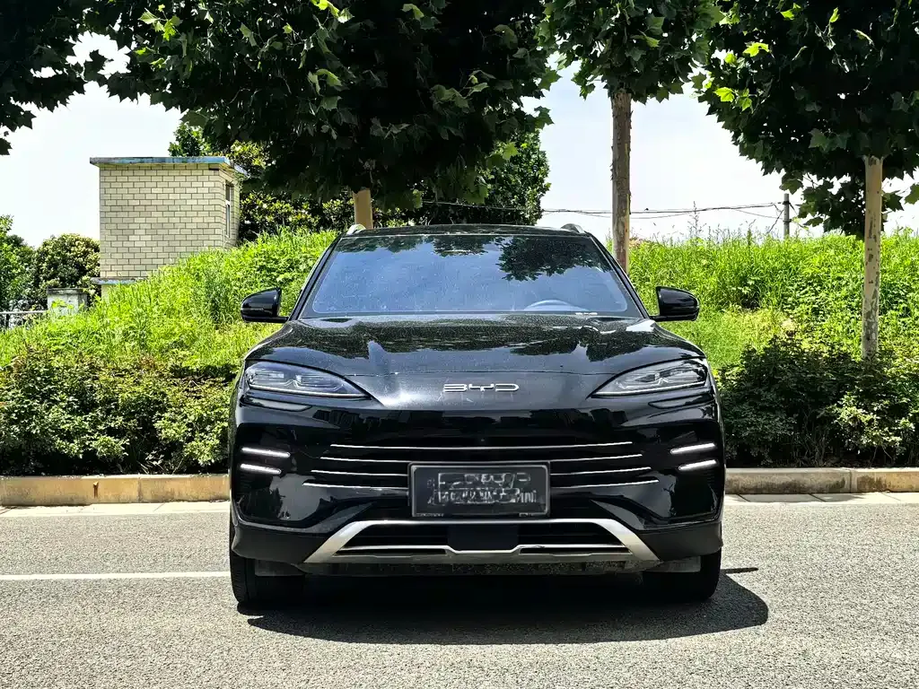 BYD PLUS New Energy 2024 из CN, фото 8