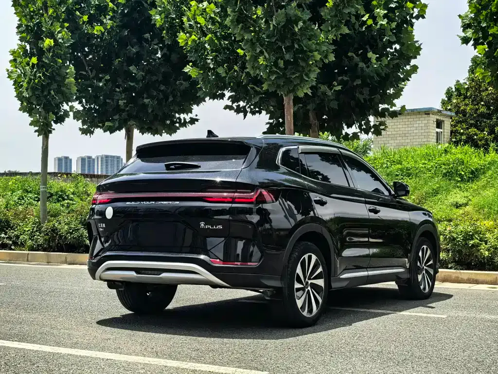 BYD PLUS New Energy 2024 из CN, фото 7