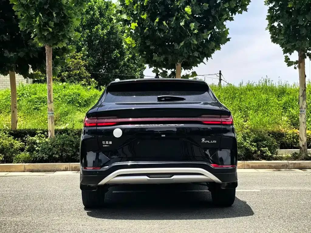 BYD PLUS New Energy 2024 из CN, фото 9