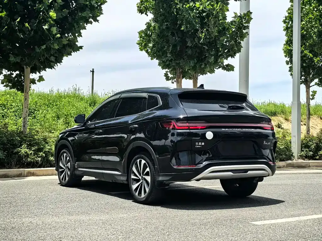 BYD PLUS New Energy 2024 из CN, фото 6