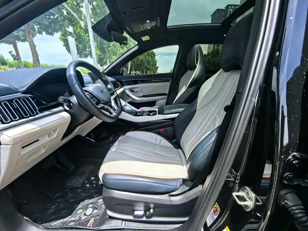 BYD PLUS New Energy 2024 из CN, фото 2