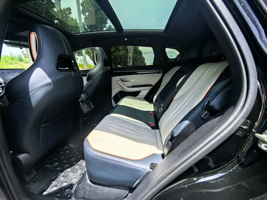 BYD PLUS New Energy 2024 из CN, фото 3