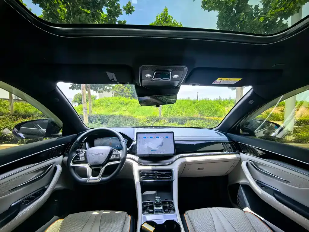BYD PLUS New Energy 2024 из CN, фото 4