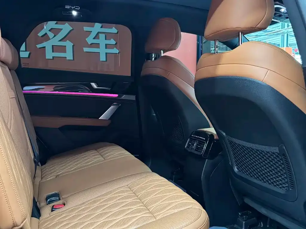 BYD Tang New Energy 2023 из CN, фото 9