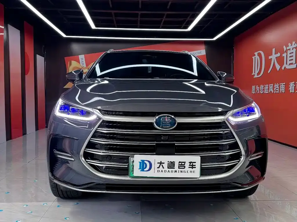 BYD Tang New Energy 2023 из CN, фото 2