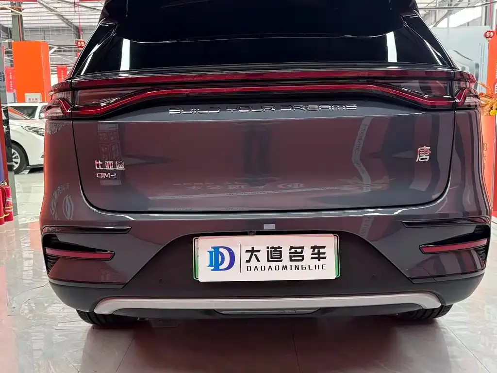 BYD Tang New Energy 2023 из CN, фото 10