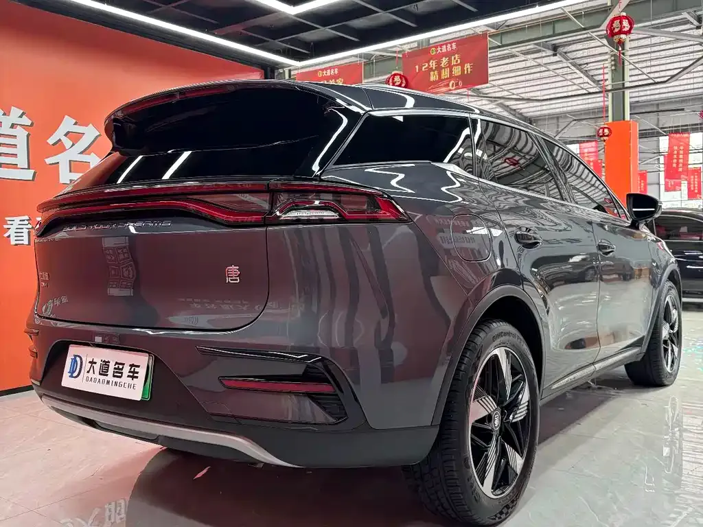 BYD Tang New Energy 2023 из CN, фото 6