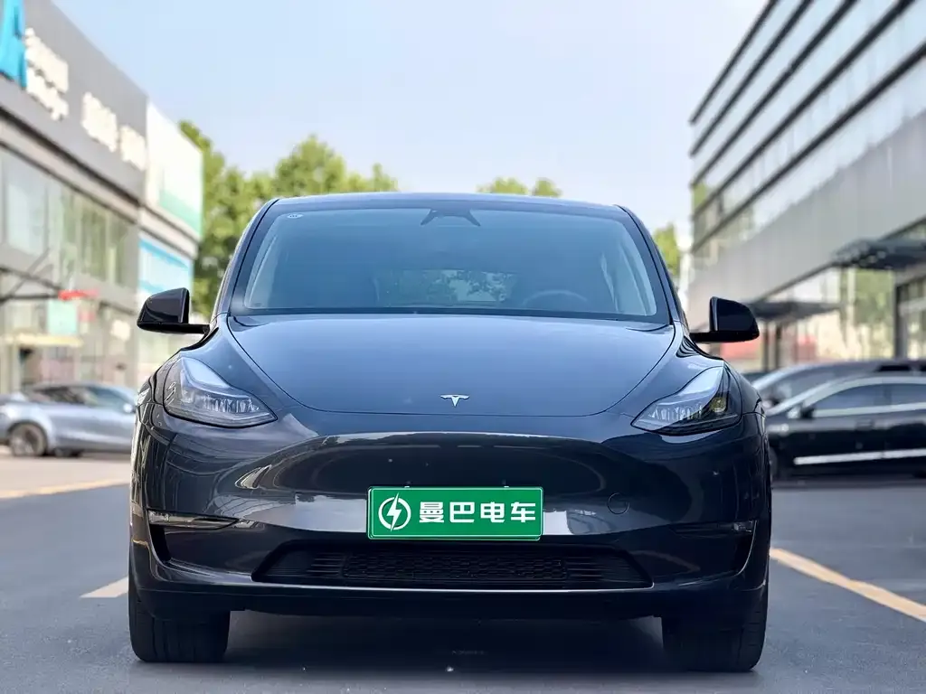 Tesla Model Y — фото 10