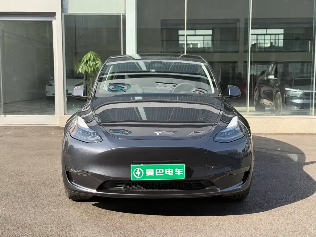 Tesla Model Y — фото 8