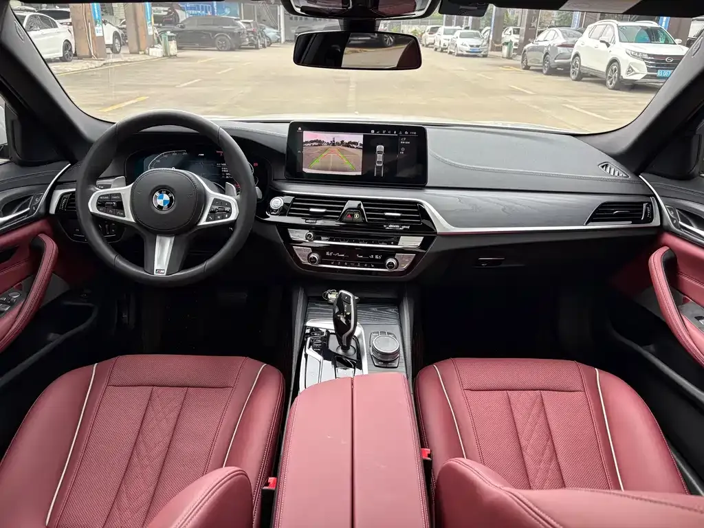 BMW 5 Series 2021 из CN, фото 5