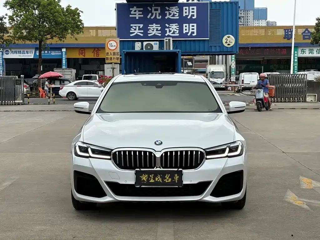 BMW 5 Series 2021 из CN, фото 4