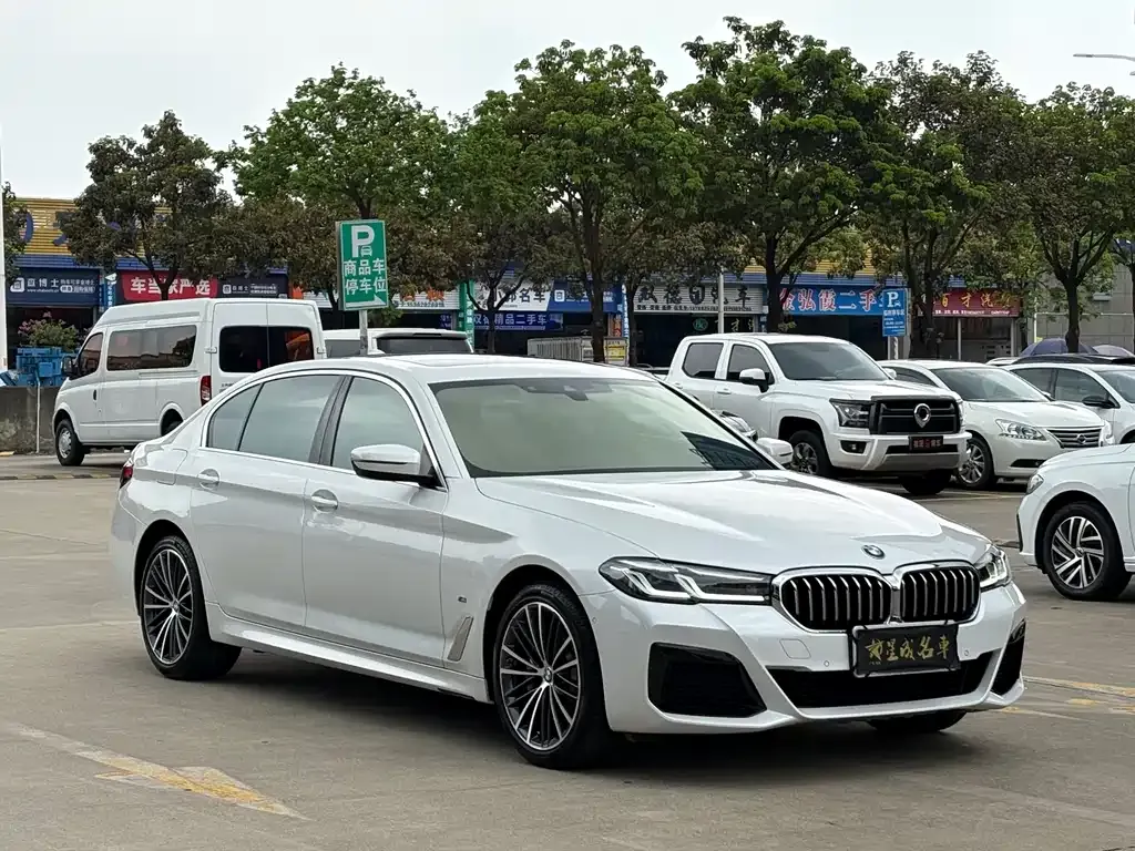 BMW 5 Series 2021 из CN, фото 9