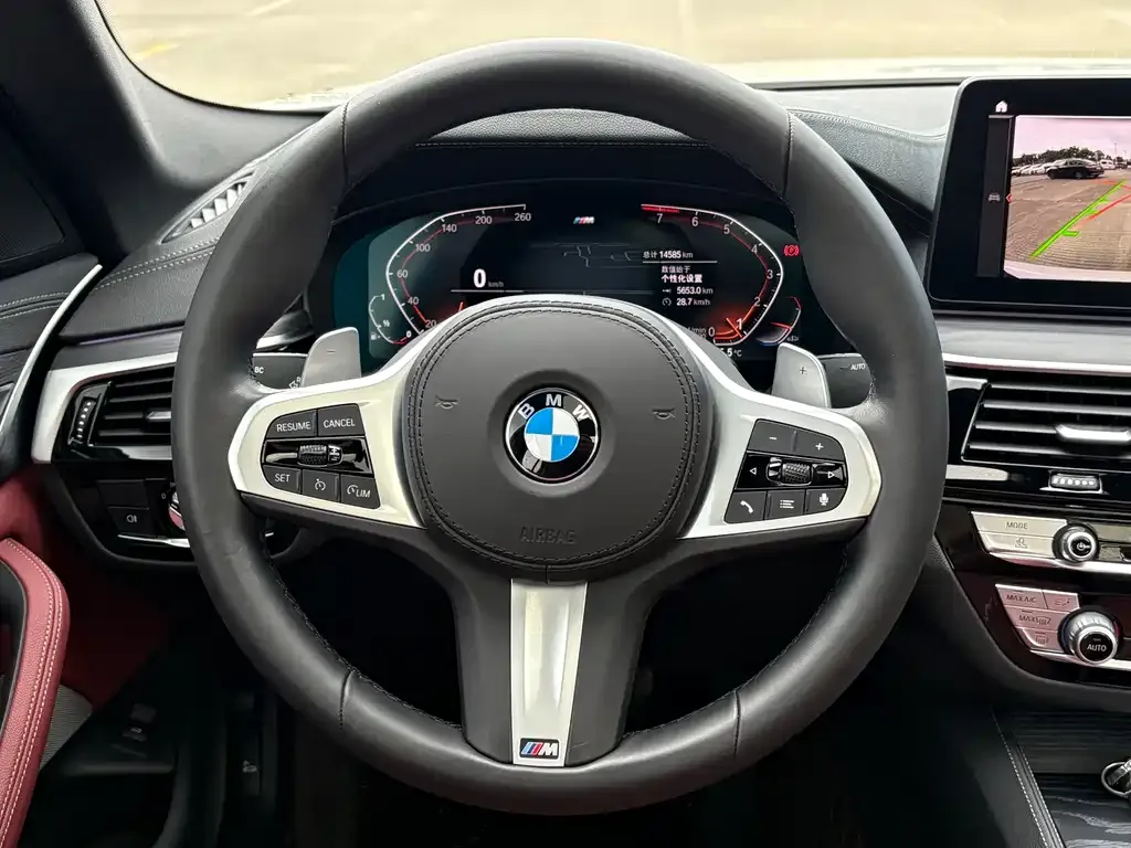 BMW 5 Series 2021 из CN, фото 6