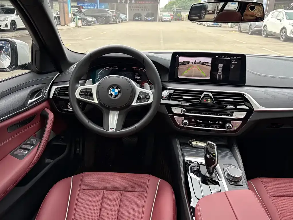 BMW 5 Series 2021 из CN, фото 8