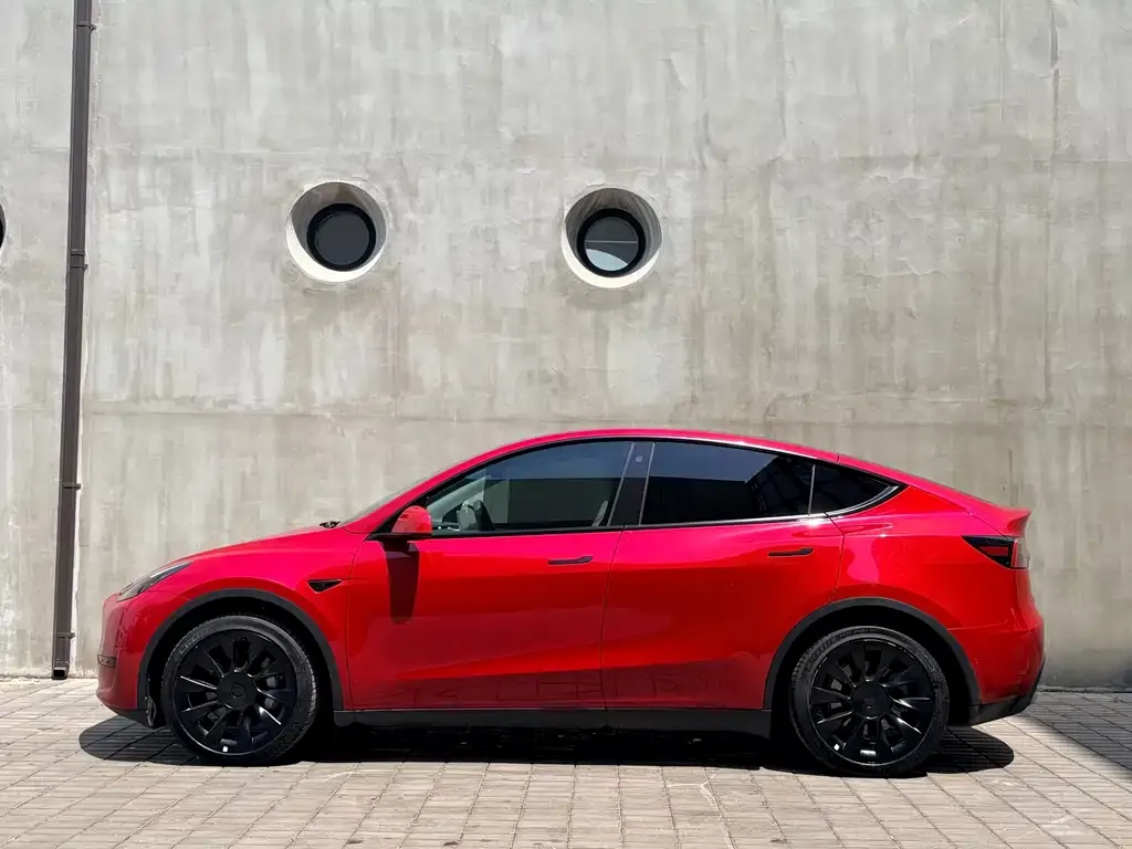 Tesla Model Y — фото 2