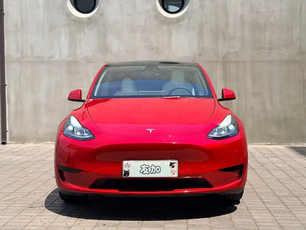 Tesla Model Y — фото 10