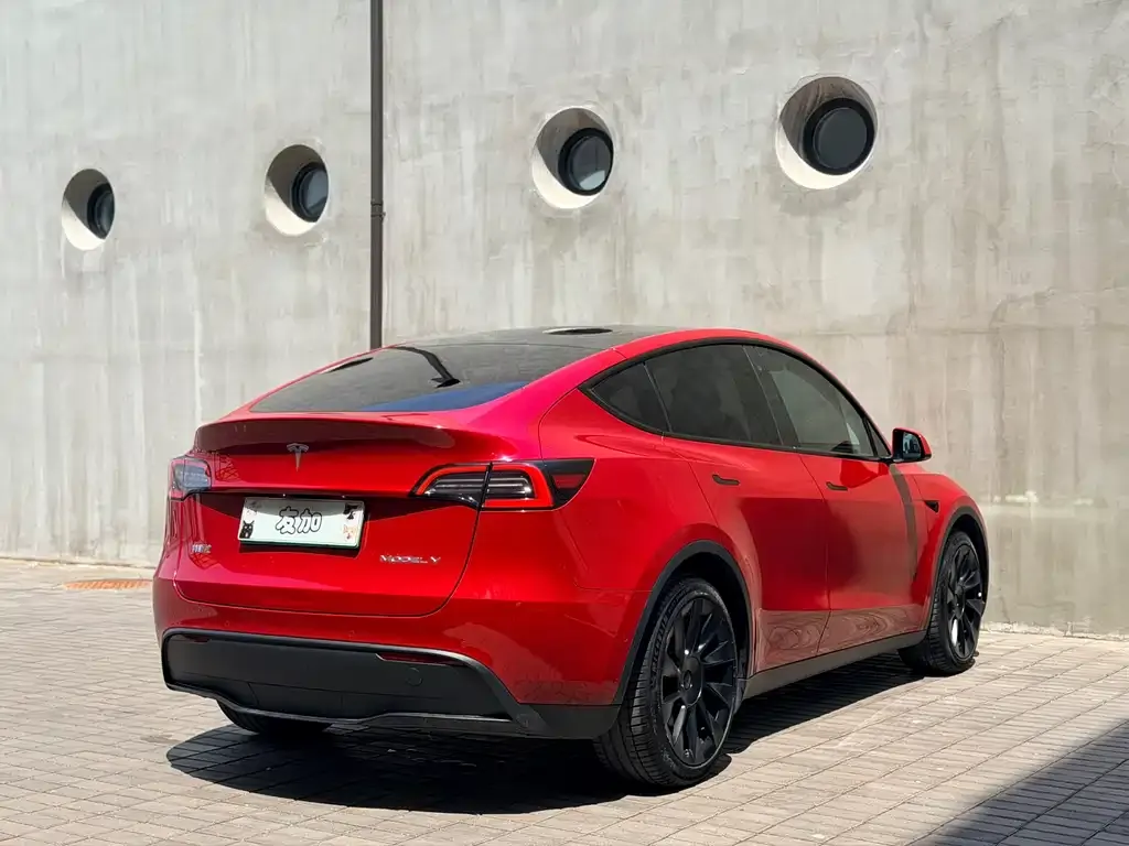 Tesla Model Y — фото 9