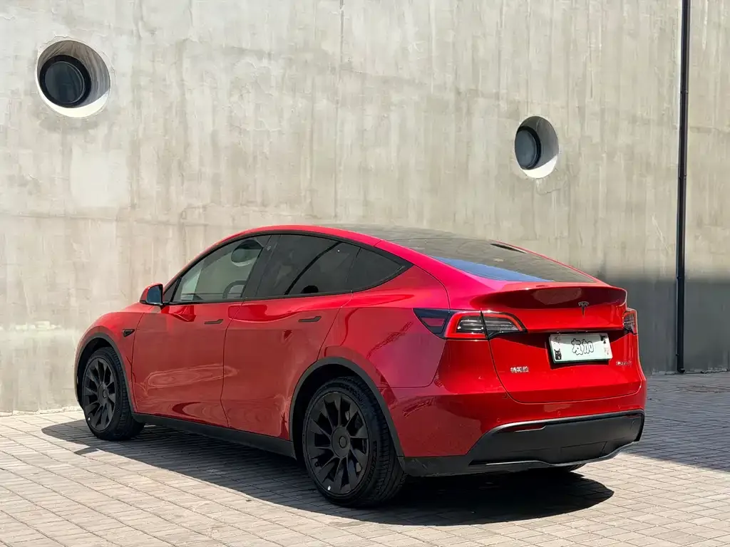 Tesla Model Y — фото 6