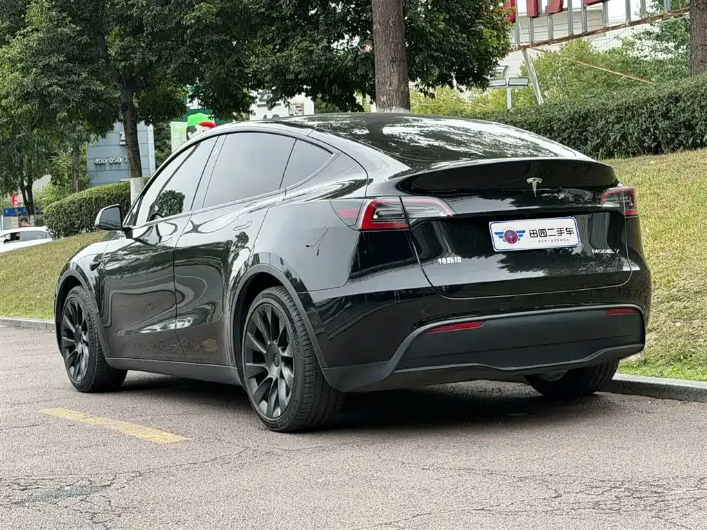 Tesla Model Y — фото 6
