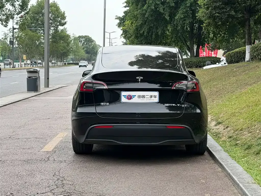 Tesla Model Y — фото 9